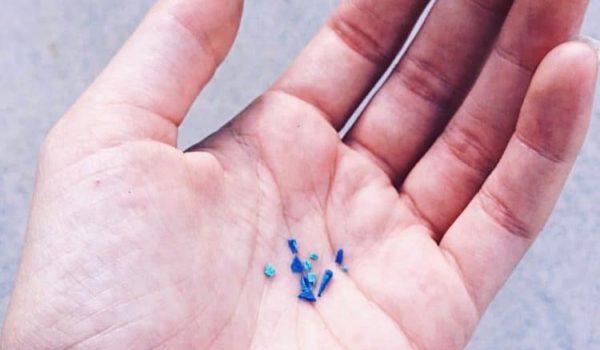 Microplastics are destroying the environment