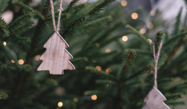 Have a Green Christmas with These Sustainable Tips