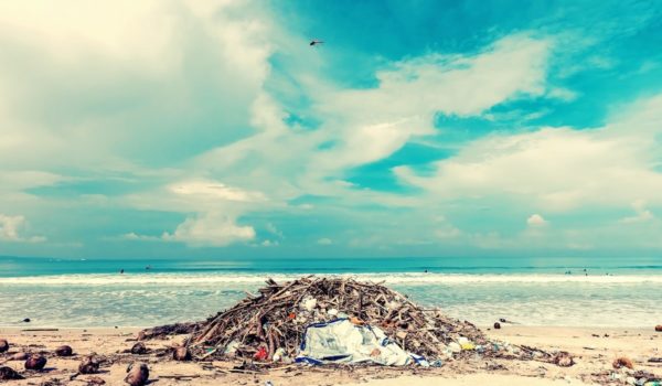10 Crazy Plastic Pollution Facts