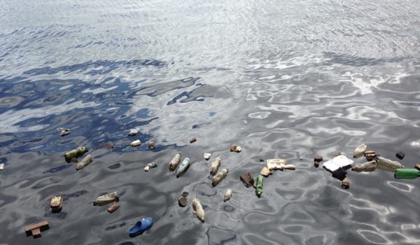 Understanding The Effect of Plastic Pollution in The Ocean