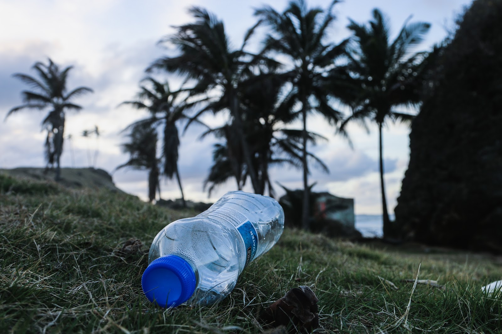 Single-Use Water Bottles Banned in LA?