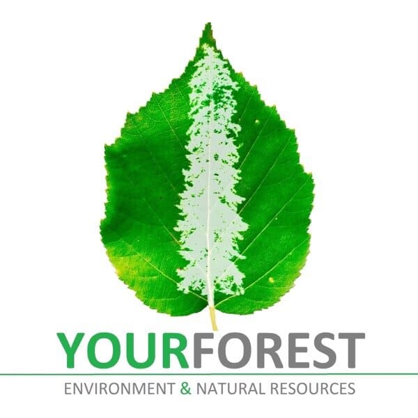 Your Forest Podcast Episode #100: Recycling is Dead with Raz Razgaitis