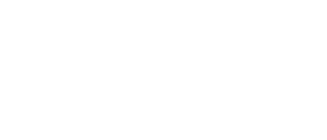 fox2 logo white