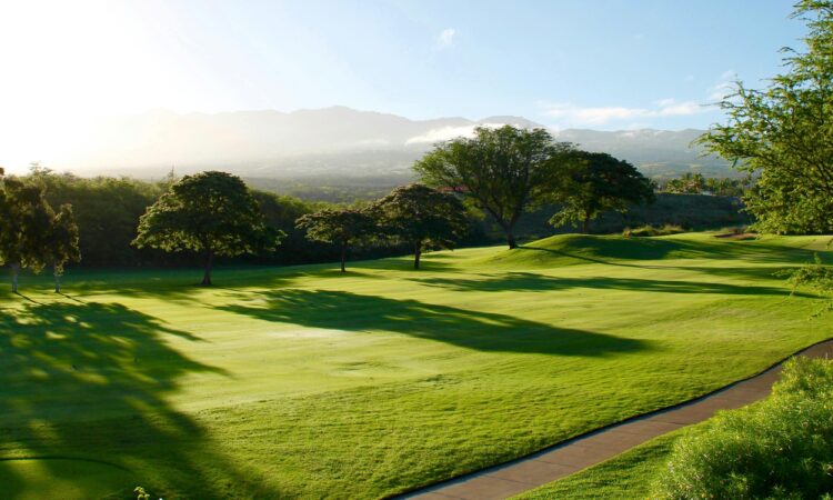 golf course